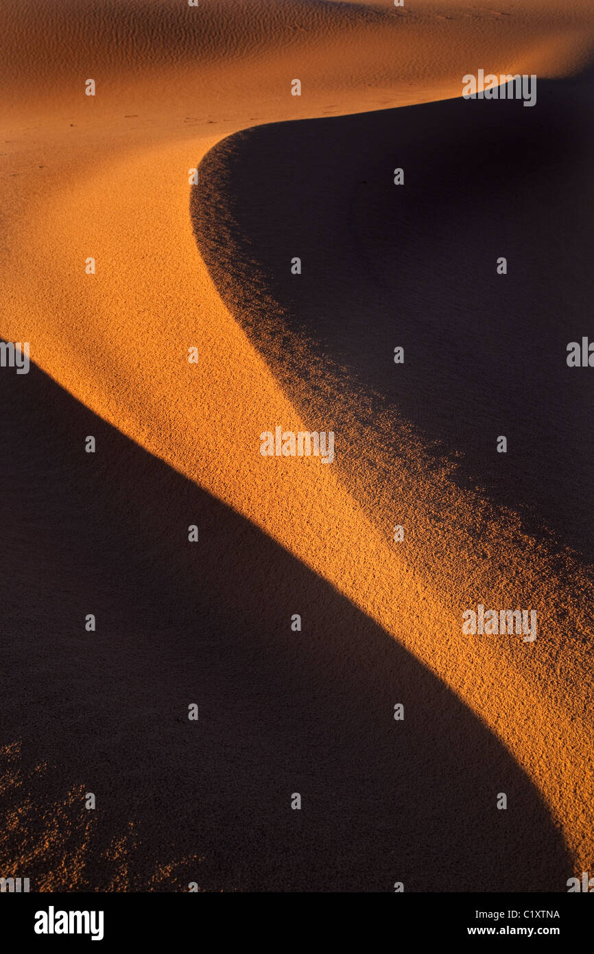 Erg Chebbi dune di sabbia sul bordo del deserto del Sahara in Marocco in Nord Africa all'alba all'inizio di marzo Foto Stock