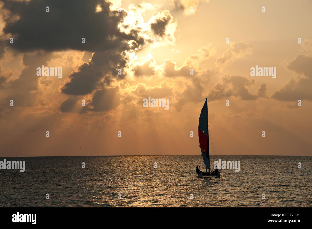 Vela al tramonto, Maldive Foto Stock