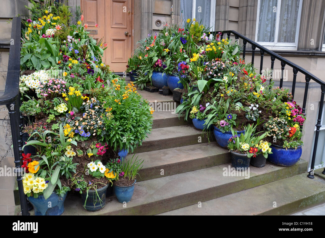 Un assortimento di fiori di primavera su una porta nella zona nuova di Edinburgo. Foto Stock