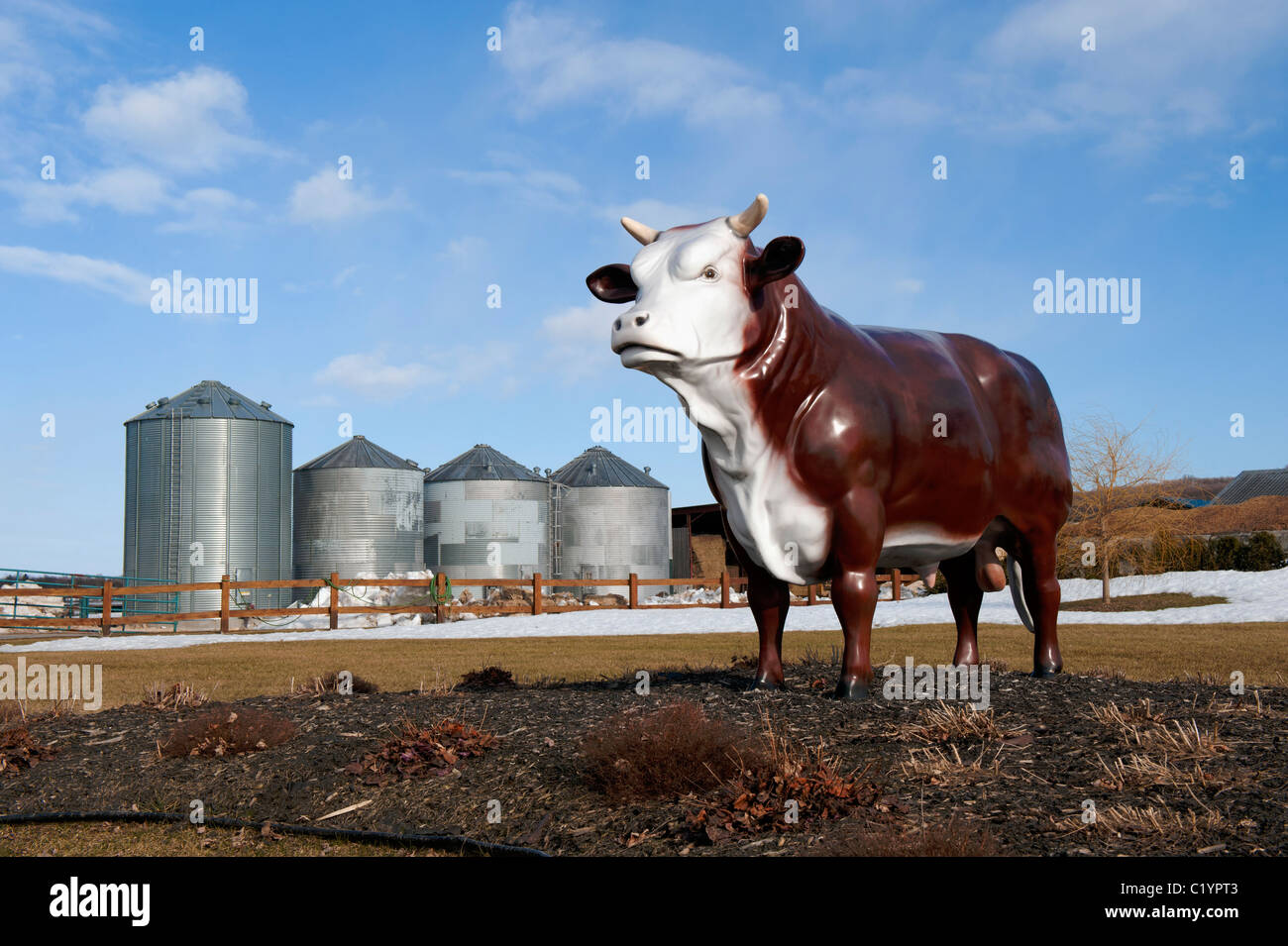 Fake vita dimensioni bull sui motivi di un allevamento di bestiame agriturismo vicino a St-Augustin, provincia del Québec in Canada. Foto Stock