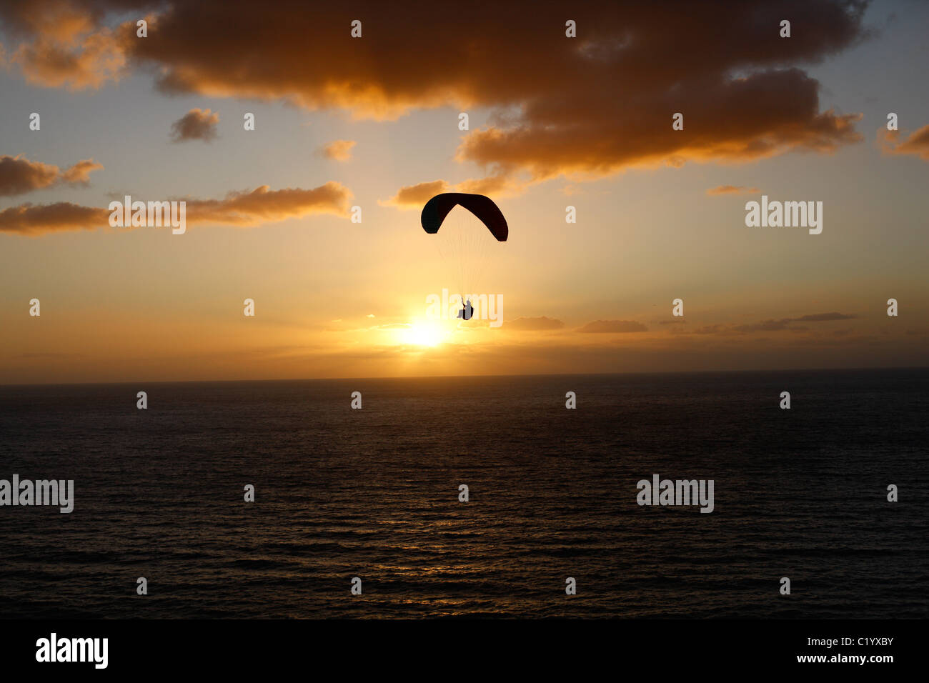 Parapendio che vola sopra l'Oceano Pacifico al tramonto. Torrey Pines Gliderport, San Diego, California, USA. Foto Stock