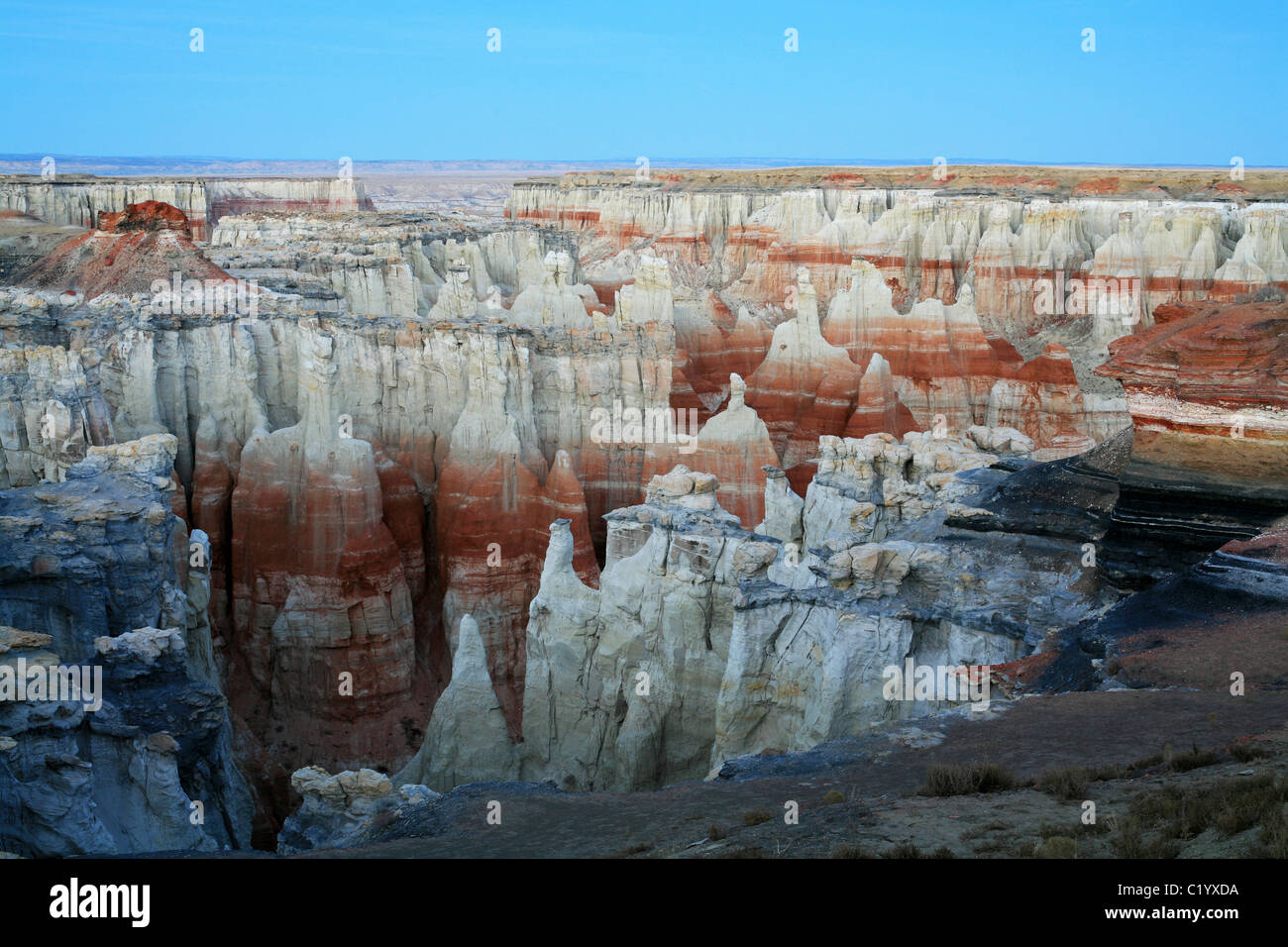 Canyon di strati multicolore sull'altopiano di Moenkopi. Canyon miniera di carbone al confine con la prenotazione Navajo & Hopi. Contea di Coconino, Arizona, Stati Uniti. Foto Stock