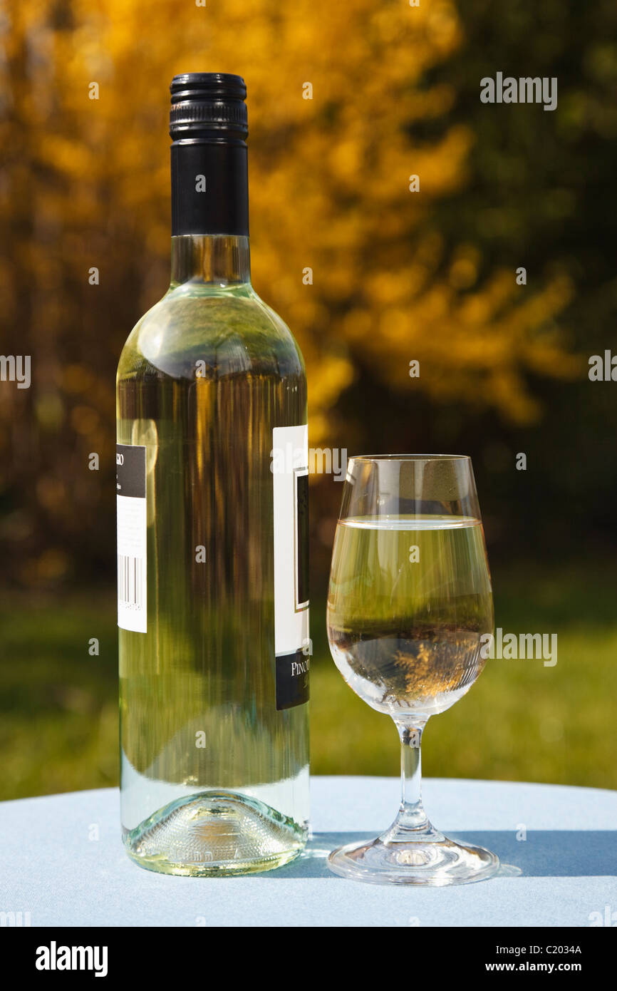 Regno Unito, Gran Bretagna. Bicchiere di vino bianco e una bottiglia di Pinot Grigio su un tavolo esterno in un giardino in primavera Foto Stock