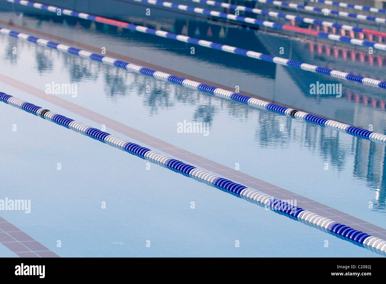 linee di nuoto Foto Stock