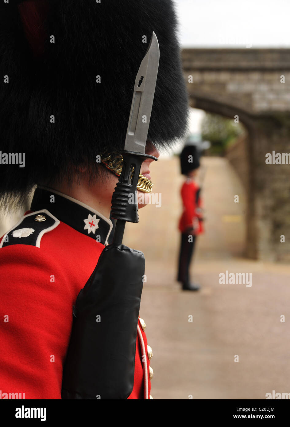 Guardsman sul dazio al castello di Windsor. Messa a fuoco selettiva tunica scarlatta con baionetta. Foto Stock
