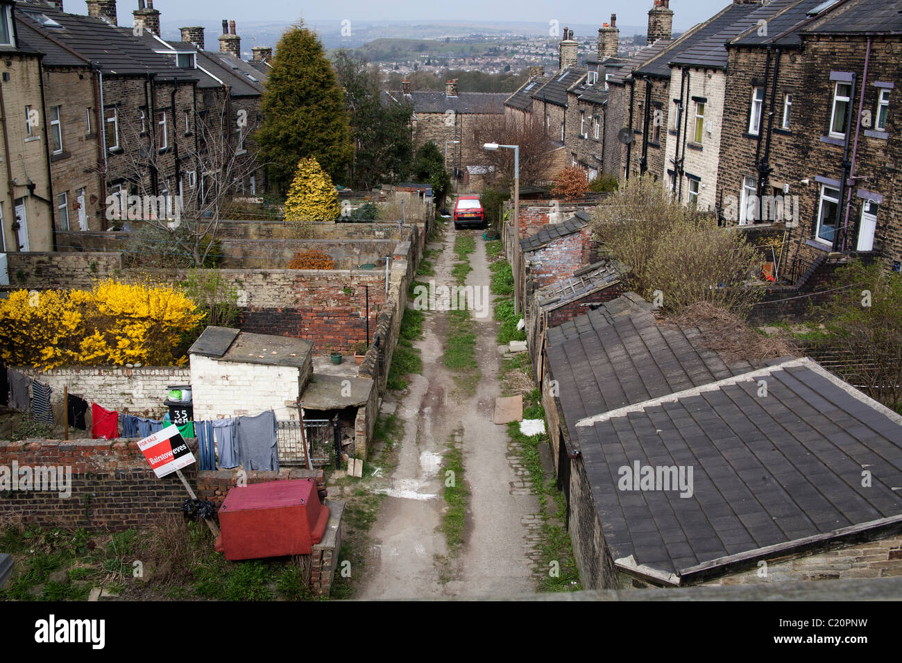 Back to back giardini con un alleato che li separano Bradford, West Yorkshire, Inghilterra, Regno Unito Foto Stock