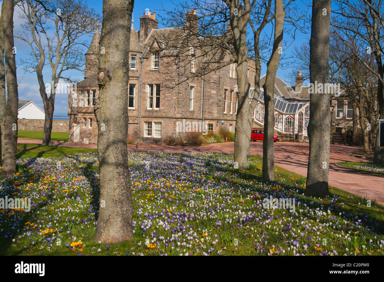 Università, St. Andrews Fife, Scozia, Marzo 2011 Foto Stock
