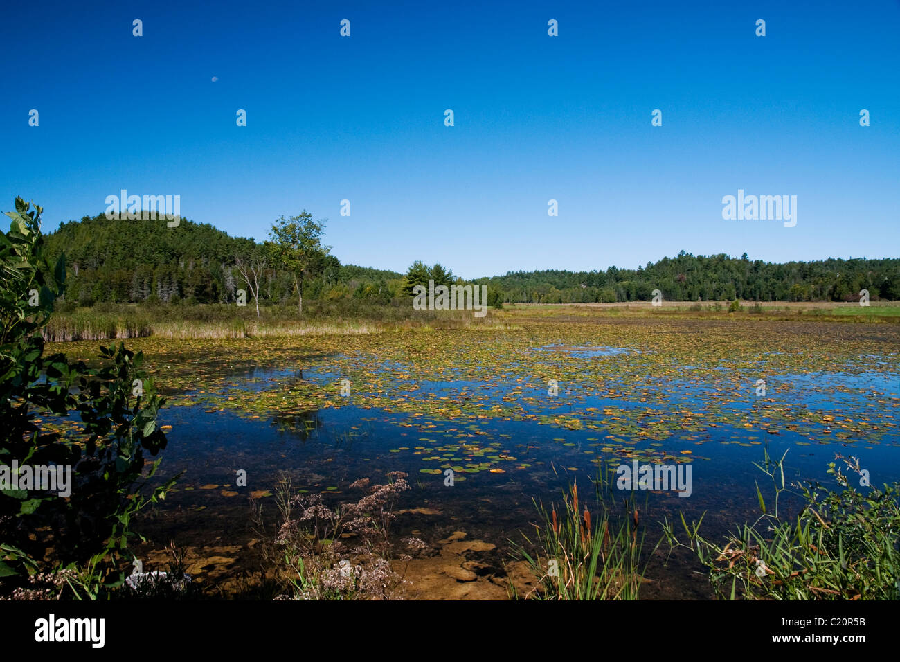 Piccolo lago disabitata (Lac Noir) nel comune di Ste-Marie, QC, Canada Foto Stock