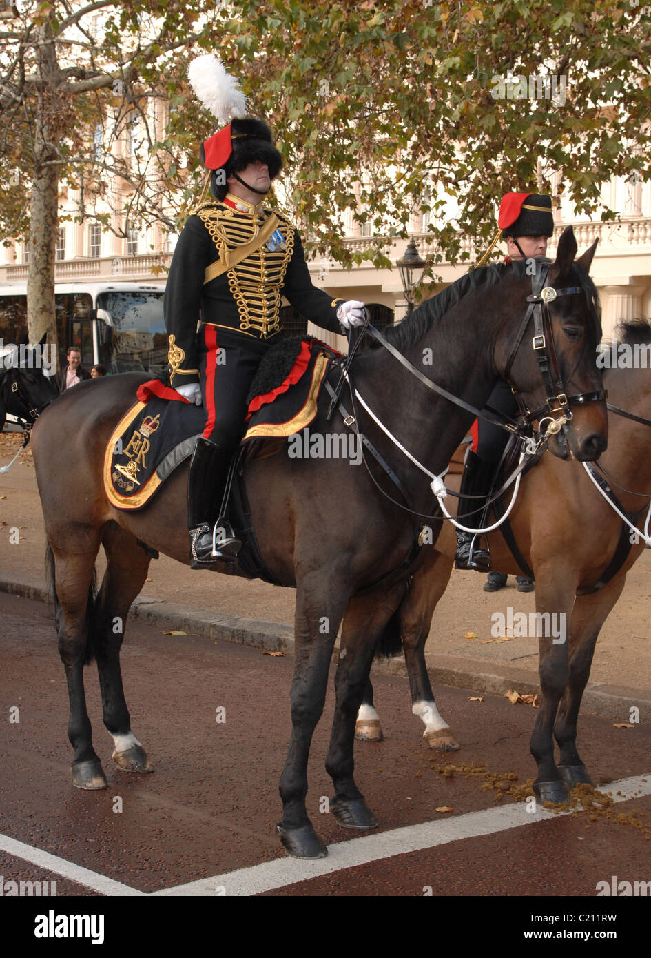 Un funzionario della famosa Kings truppa cavallo Royal Artillery nel vestito completo uniforme. Londra, novembre 2007. Foto Stock