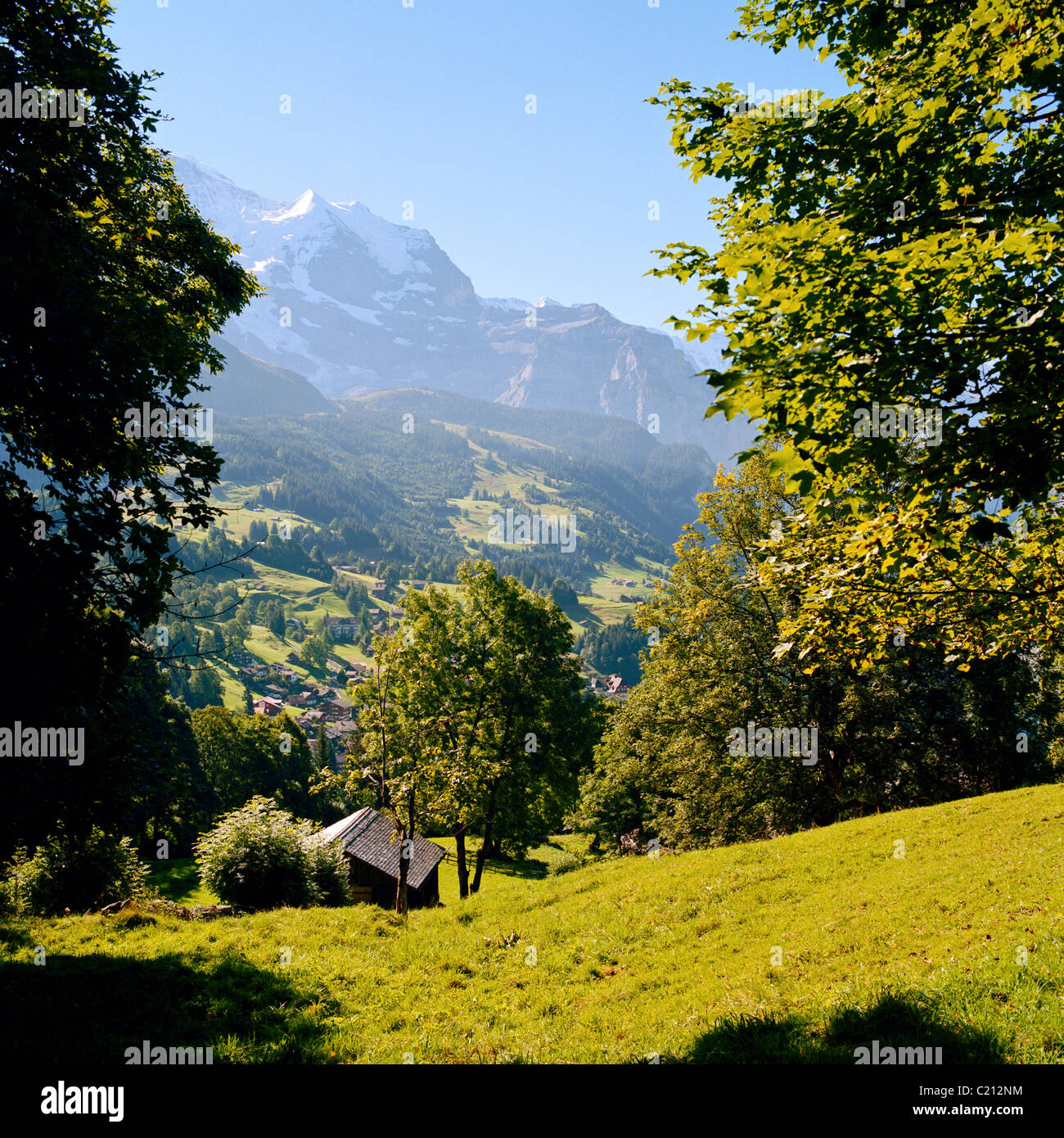 Valle alpina Oberland Bernese svizzera Foto Stock