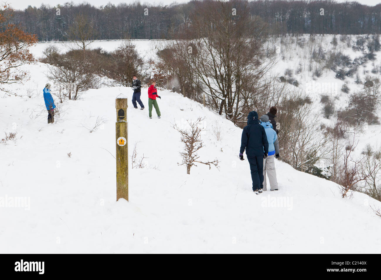 Un inverno di lotta con le palle di neve sul Cotswold modo a Barrow Wake, Gloucestershire, England, Regno Unito Foto Stock