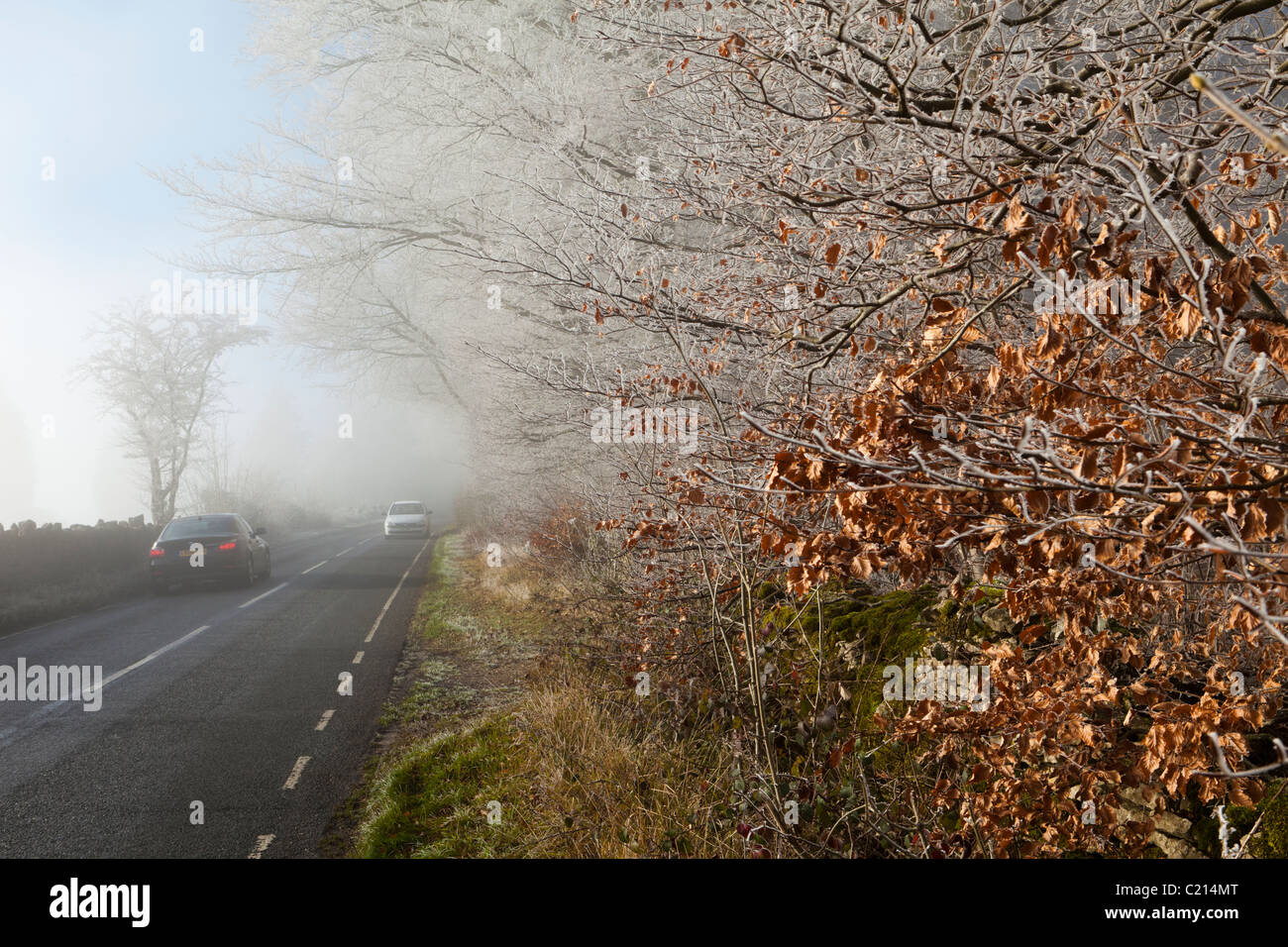 Trasformata per forte gradiente il gelo e la nebbia in inverno sulla corsia attraverso Scottsquar Hill in Cotswolds in corrispondenza del bordo, Gloucestershire, England, Regno Unito Foto Stock
