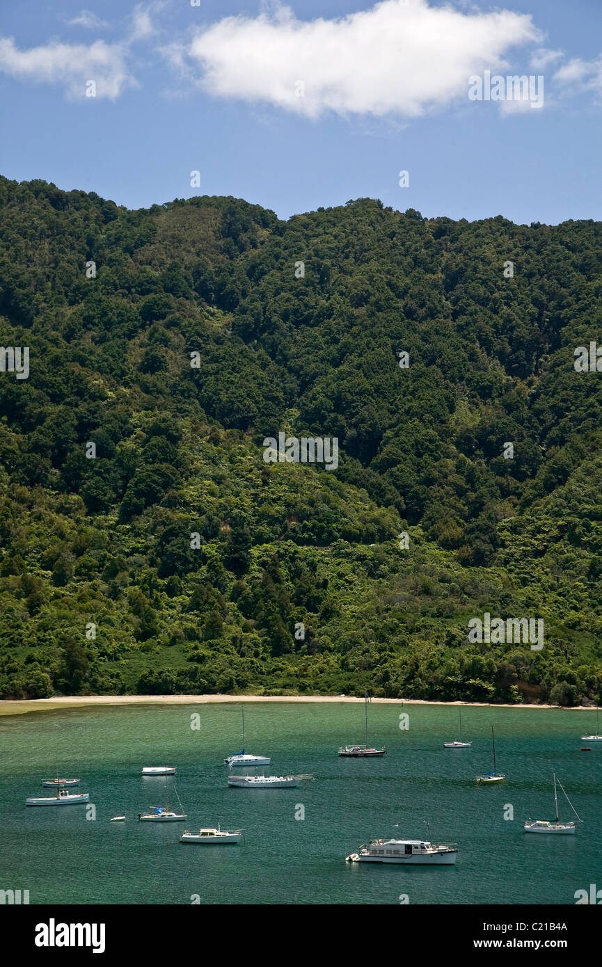 Bay con barche vicino a Picton, Nuova Zelanda Foto Stock
