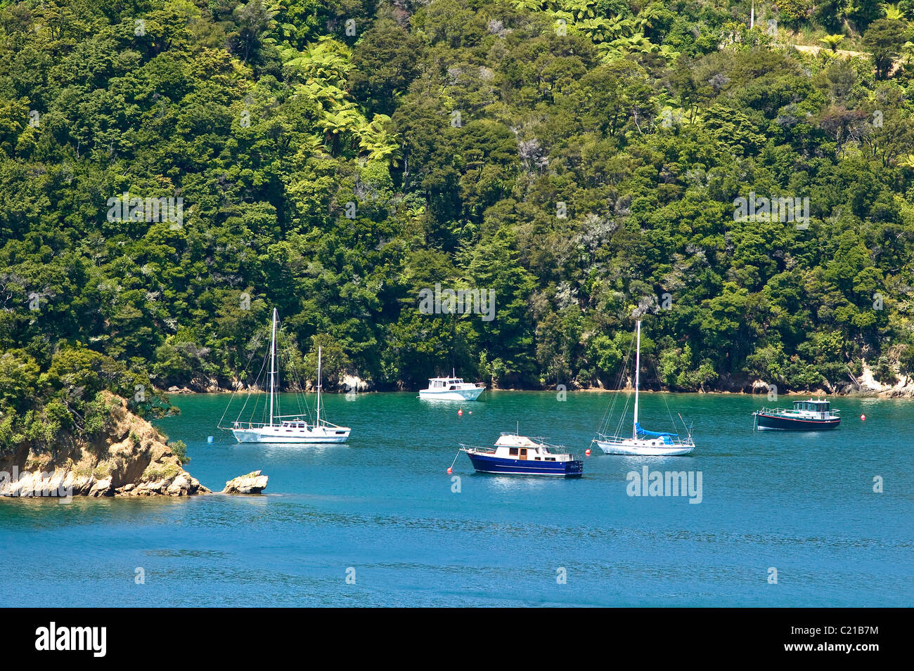 Le montagne in Queen Charlotte Sound, Nuova Zelanda Marlborough Sound Foto Stock