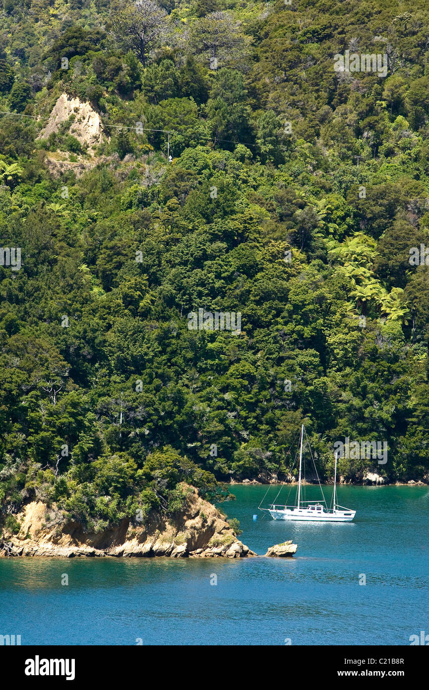 Le montagne in Queen Charlotte Sound, Nuova Zelanda Marlborough Sound Foto Stock