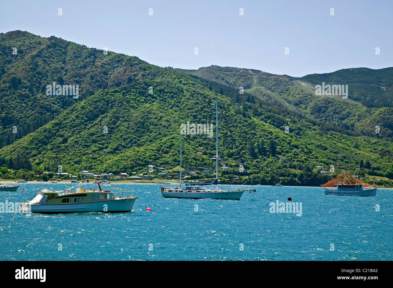 Le montagne in Queen Charlotte Sound, Nuova Zelanda Marlborough Sound Foto Stock