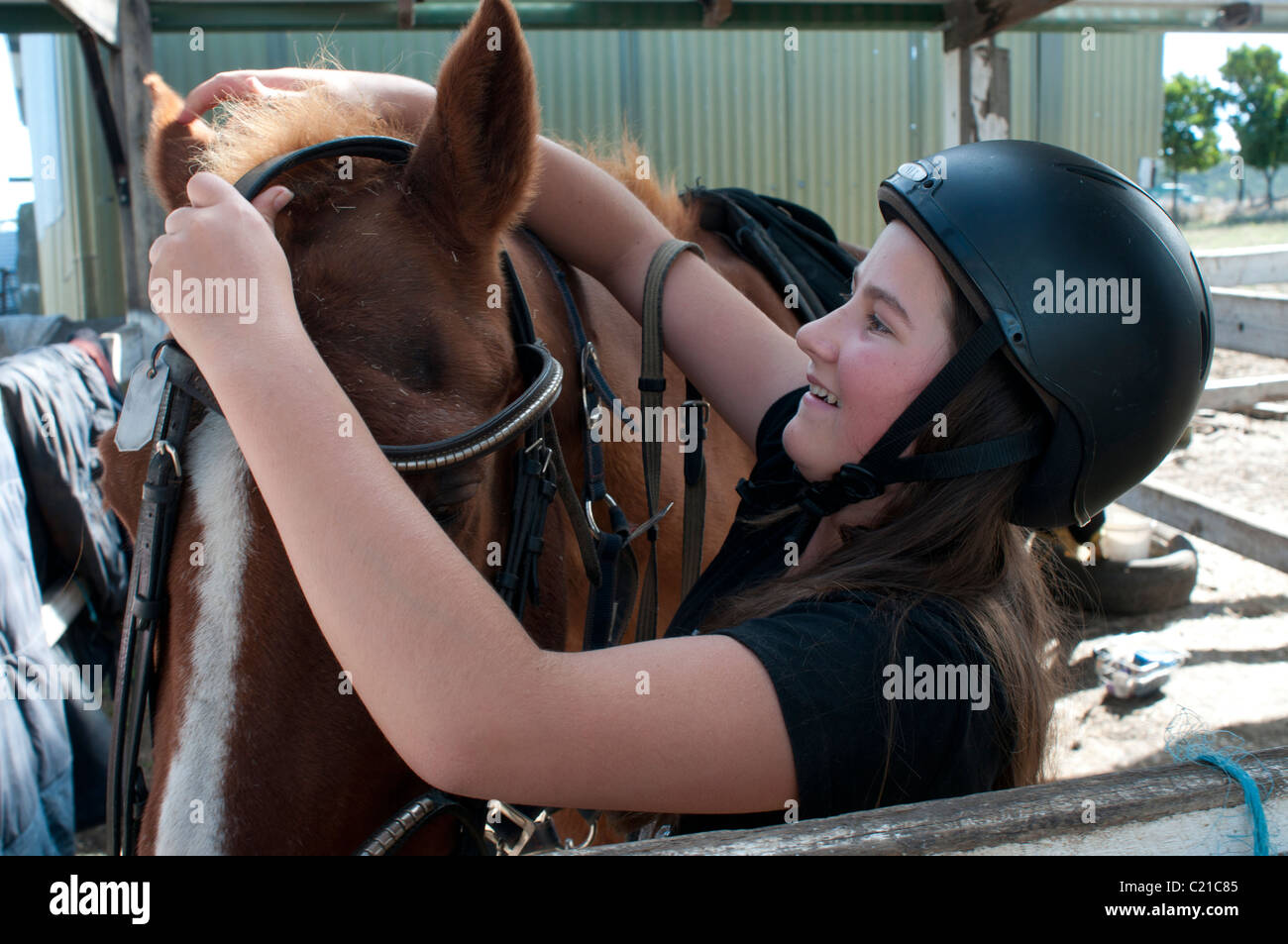 Un giovane studente horse rider mette una briglia su un cavallo presso una scuola di equitazione Foto Stock