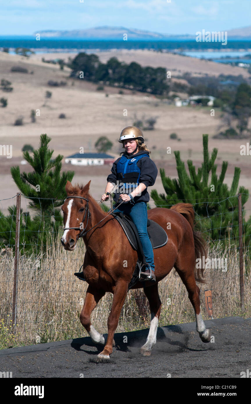 Una giovane ragazza adolescente di imparare a guidare un cavallo presso una scuola di equitazione in Tasmania Foto Stock