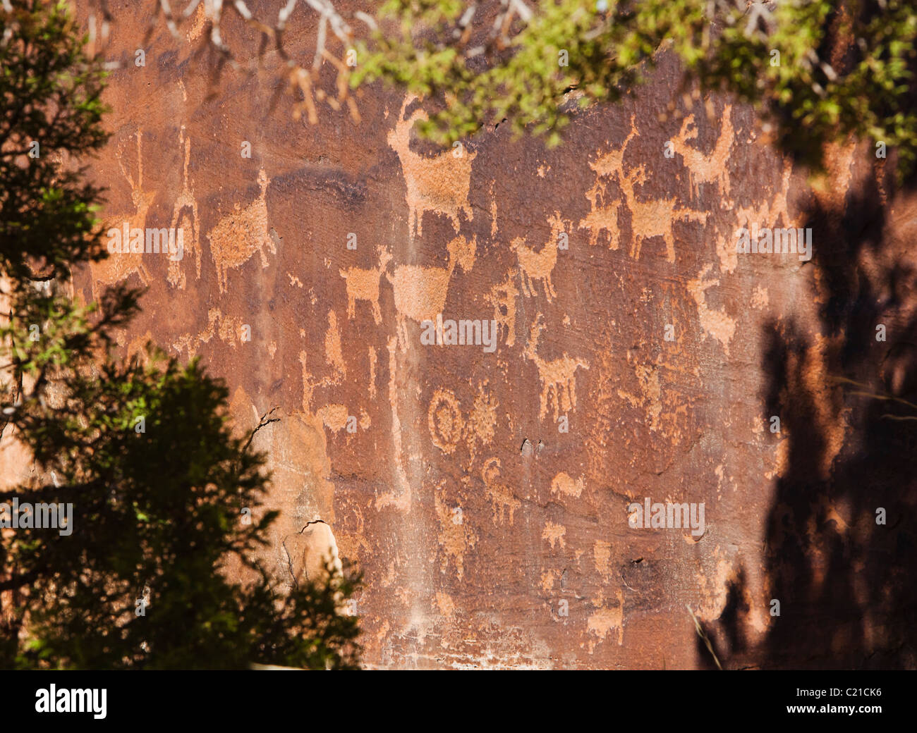 Incisioni rupestri in Indian Creek Canyon dello Utah, Stati Uniti d'America. Foto Stock