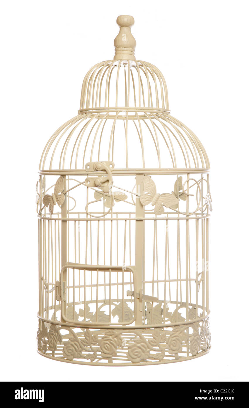 Vintage shabby chic bird cage di esclusione di studio Foto Stock