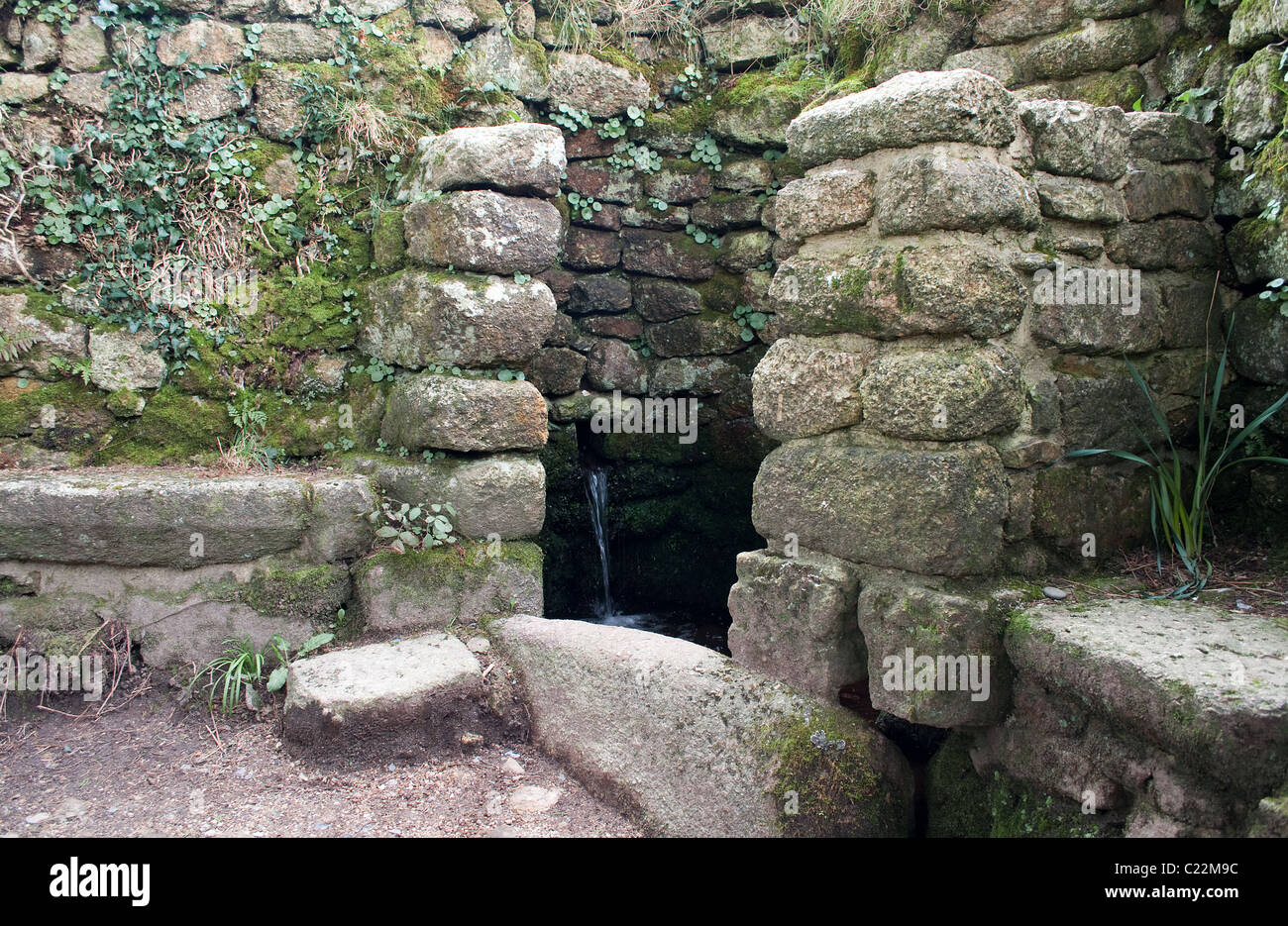 L ' Acqua Santa ' bene nell'antica cappella Boswarthen vicino Madron in Cornwall, Regno Unito Foto Stock