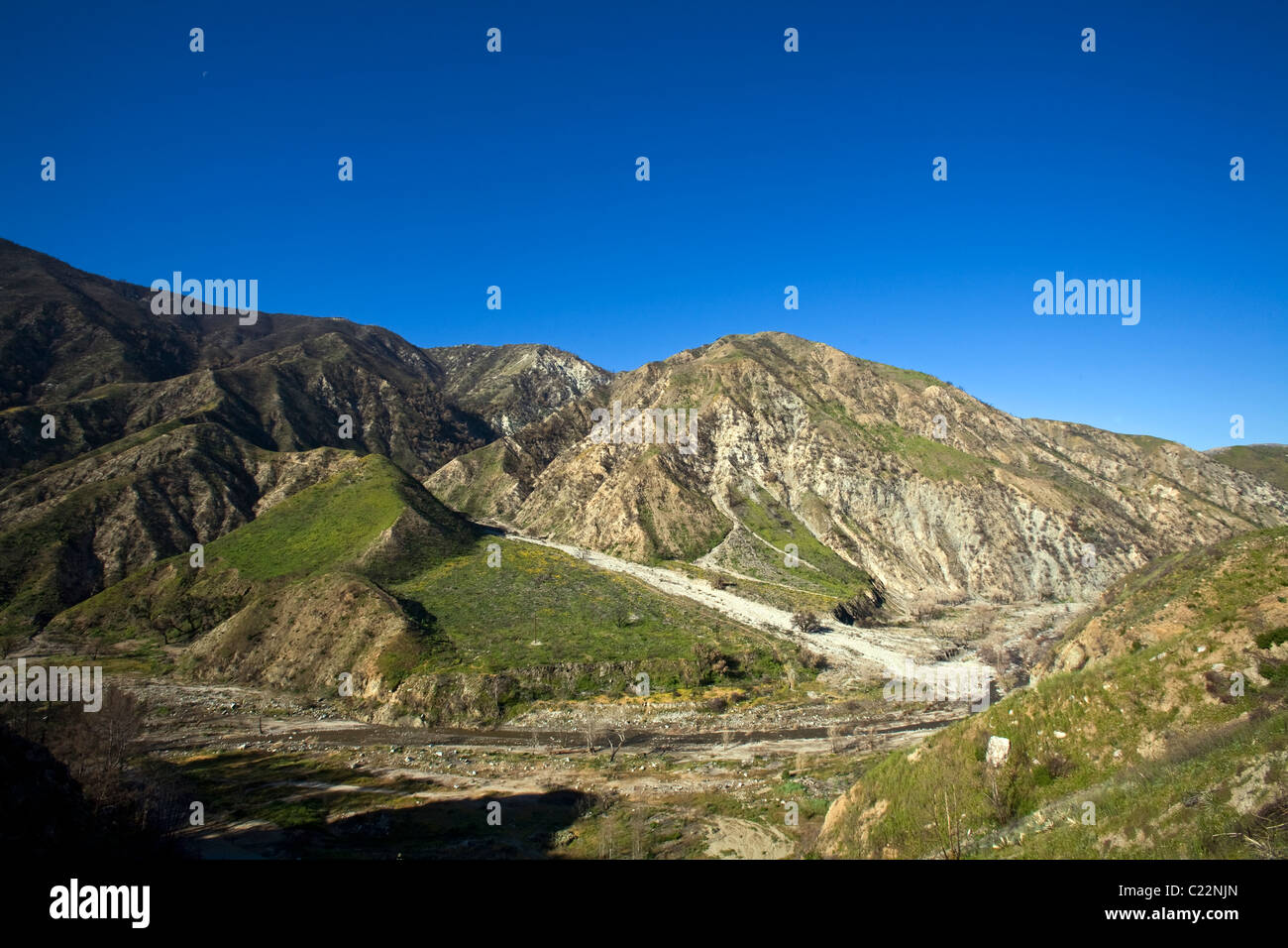 In aprile 2010, circa sei mesi dopo la stazione Fire, ri-crescita è inizia a comparire in alcune delle aree di masterizzazione del in Ang Foto Stock