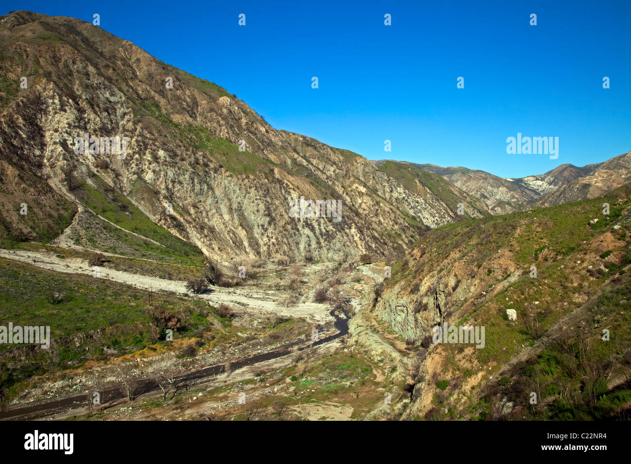 In aprile 2010, circa sei mesi dopo la stazione Fire, ri-crescita è inizia a comparire in alcune delle aree di masterizzazione del in Ang Foto Stock