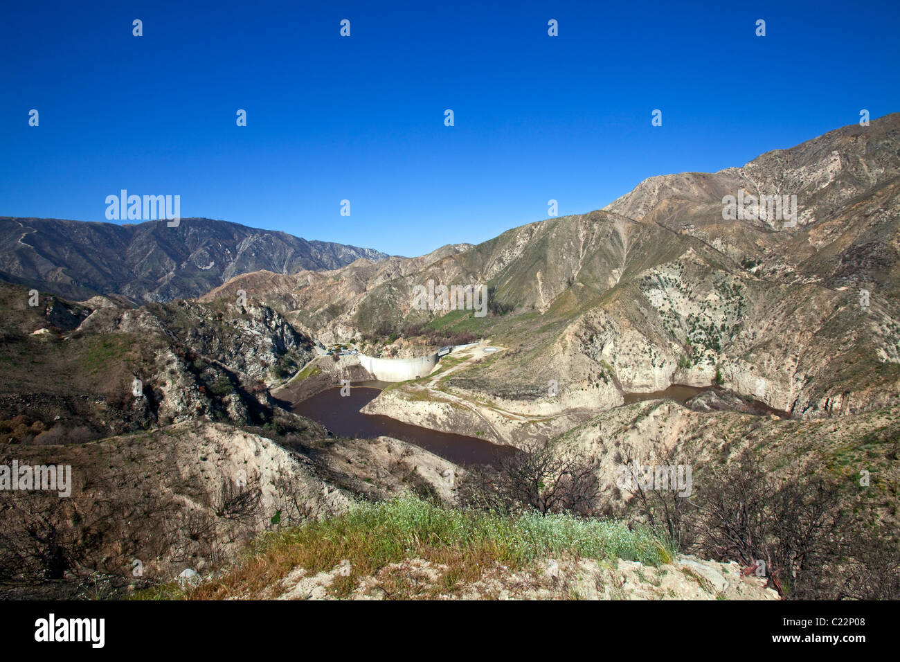 In aprile 2010, circa sei mesi dopo la stazione Fire, ri-crescita è inizia a comparire in alcune delle aree di masterizzazione del in Ang Foto Stock