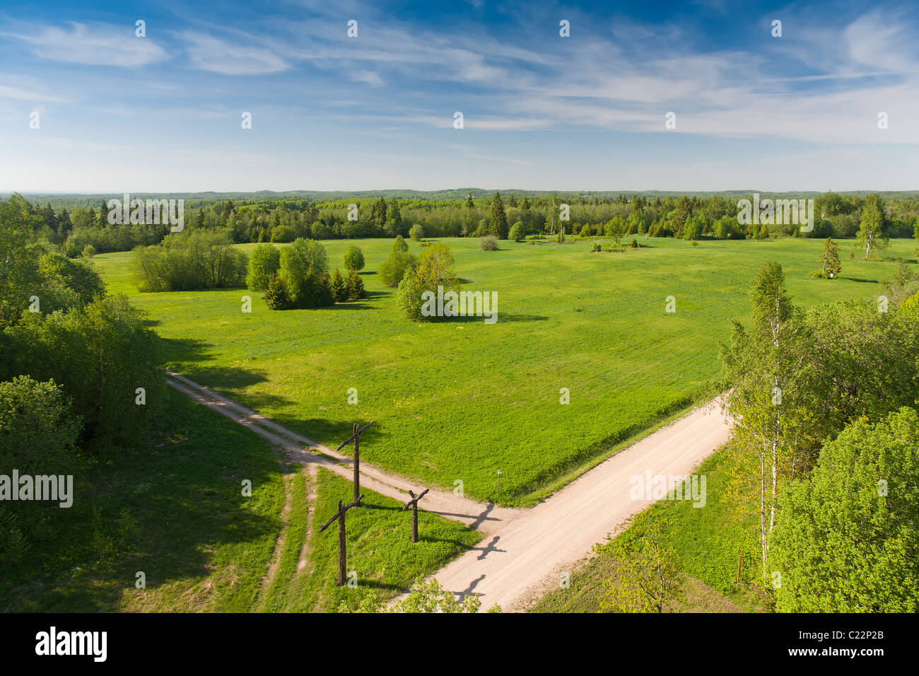 Vista dalla torre di avvistamento Harimäe, Valga County, Estonia Foto Stock