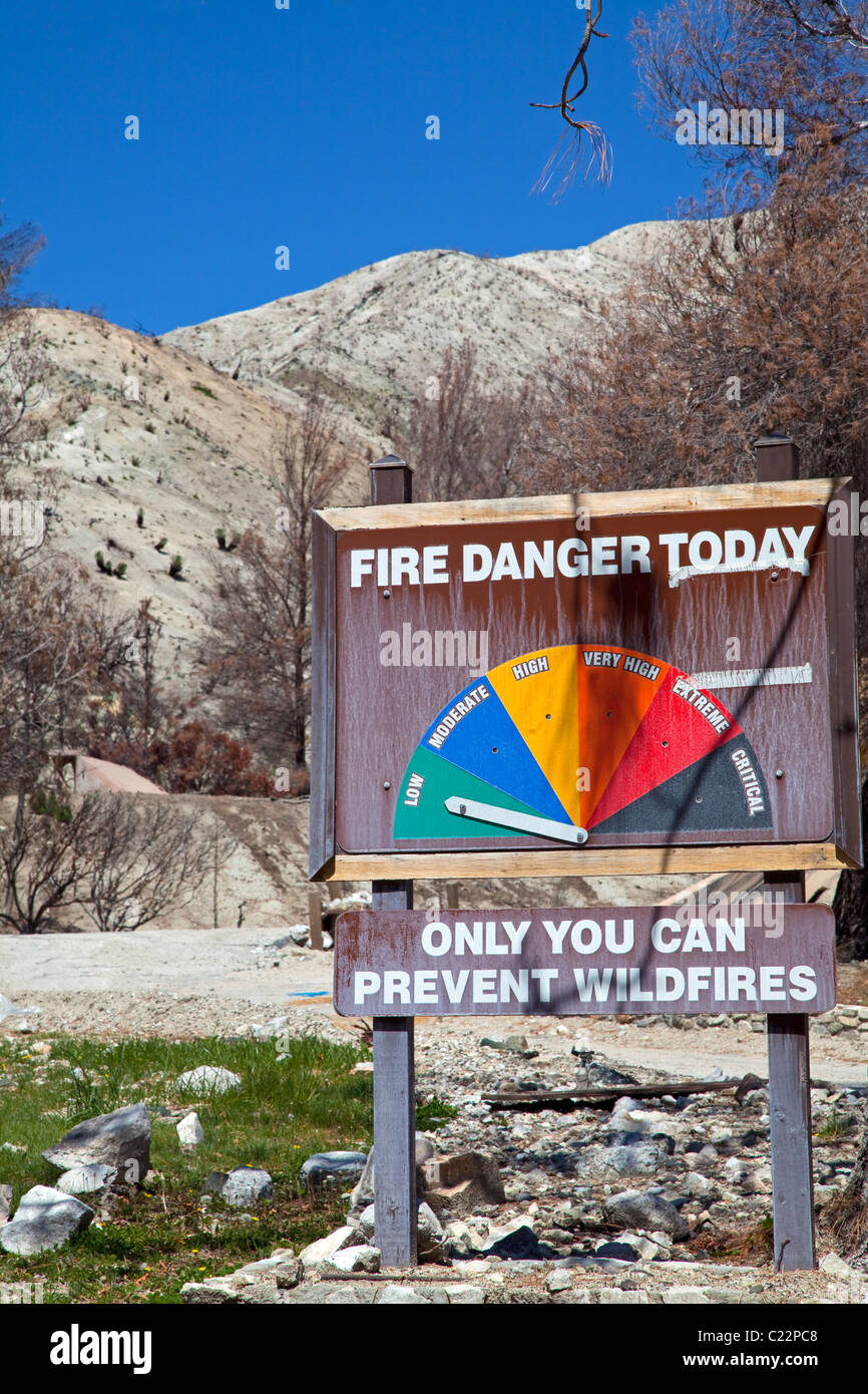 In aprile 2010, circa sei mesi dopo la stazione Fire, ri-crescita è inizia a comparire in alcune delle aree di masterizzazione del in Ang Foto Stock