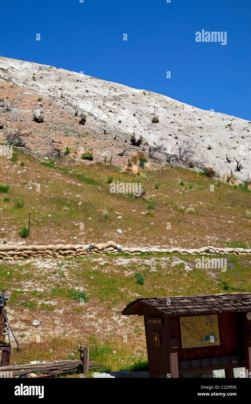 In aprile 2010, circa sei mesi dopo la stazione Fire, ri-crescita è inizia a comparire in alcune delle aree di masterizzazione del in Ang Foto Stock