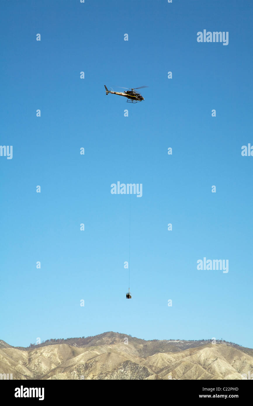 In aprile 2010, circa sei mesi dopo la stazione Fire, ri-crescita è inizia a comparire in alcune delle aree di masterizzazione del in Ang Foto Stock