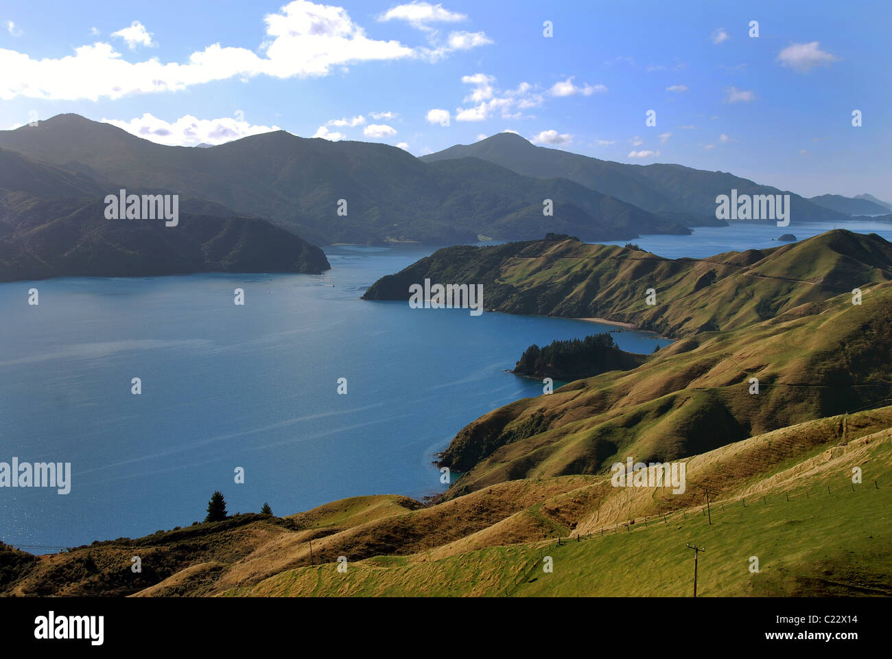 Pass francese, Marlborough Sounds, Isola del Sud della Nuova Zelanda, Pied Shag nella distanza Foto Stock