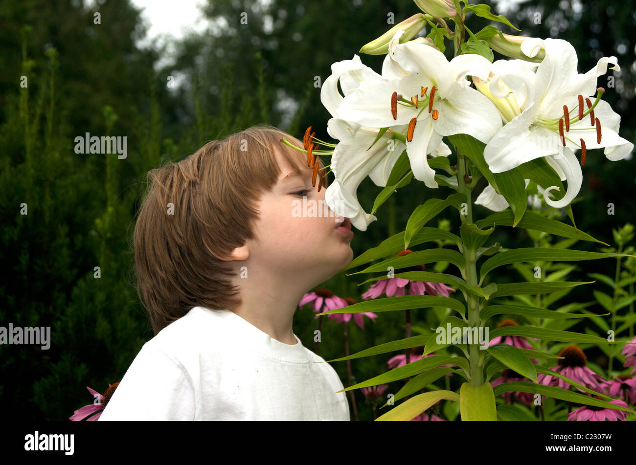 Annusare i fiori Foto Stock