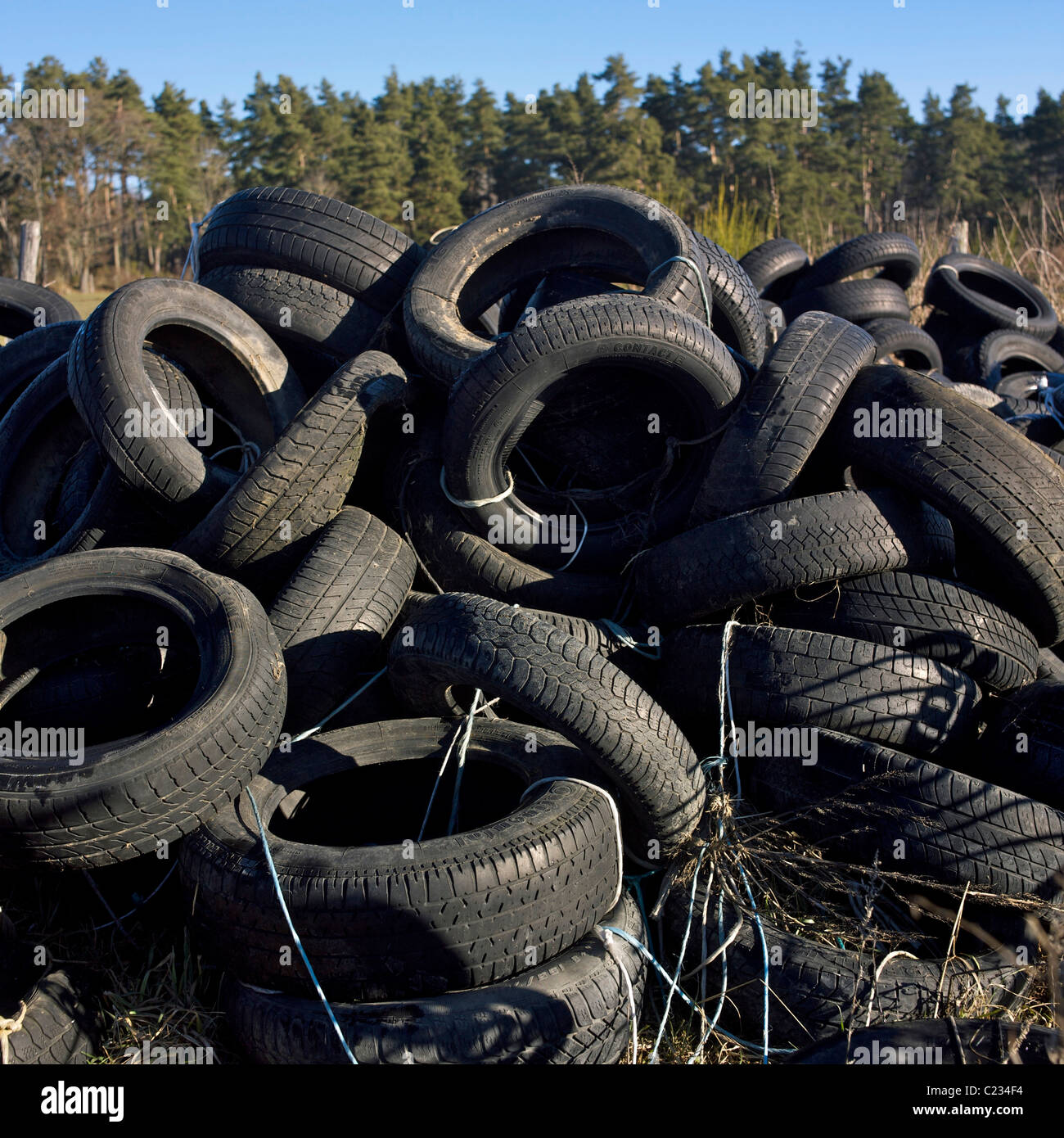 Vecchi pneumatici in gomma in campagna. Foto Stock