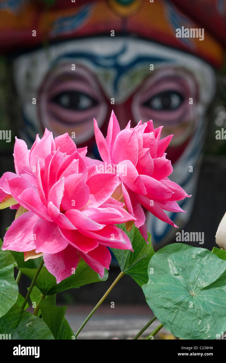 Fiori di loto alla Haw Par Villa, l'insolita oriental giardini a tema, formerly The Tiger Balm Gardens in Singapore Foto Stock