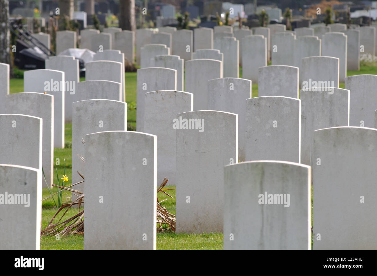 War Graves, Botley cimitero, Oxford, Regno Unito Foto Stock