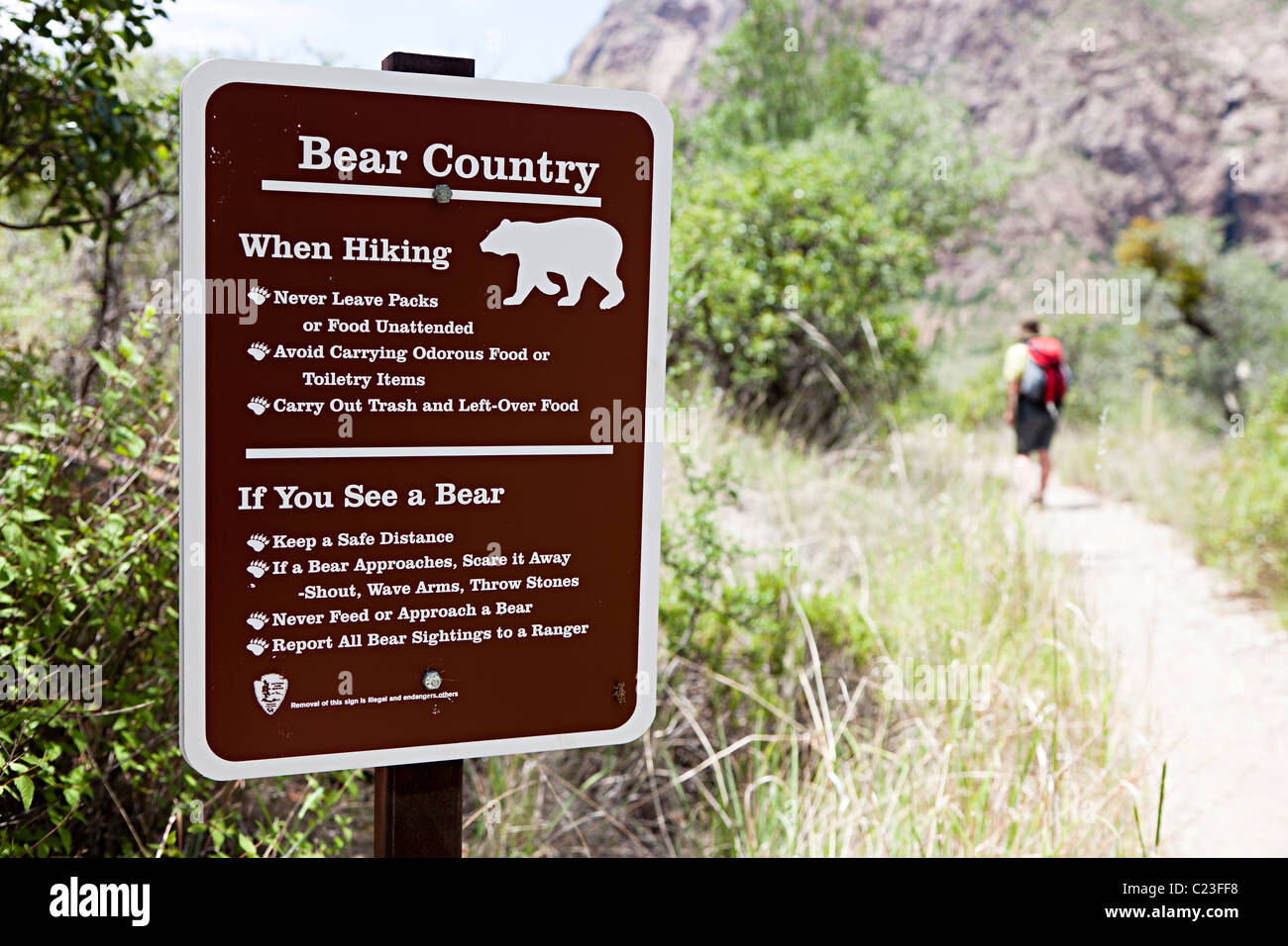 Bear Paese segno di avvertimento sulla finestra Trail Parco nazionale di Big Bend Texas USA Foto Stock