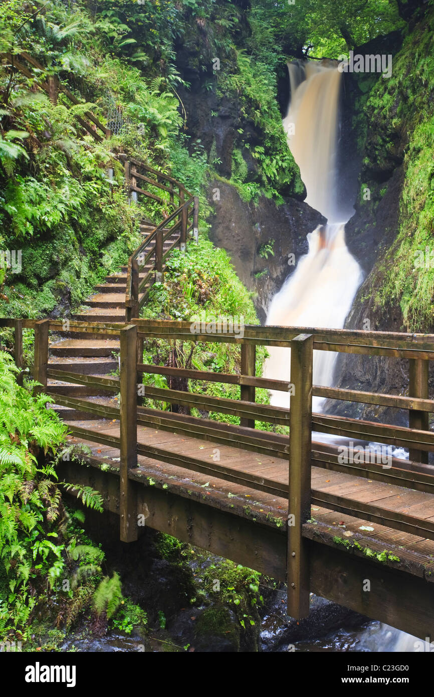 Ess-na-Larach cascata nel Glenariff Forest Park, County Antrim, Irlanda del Nord Foto Stock