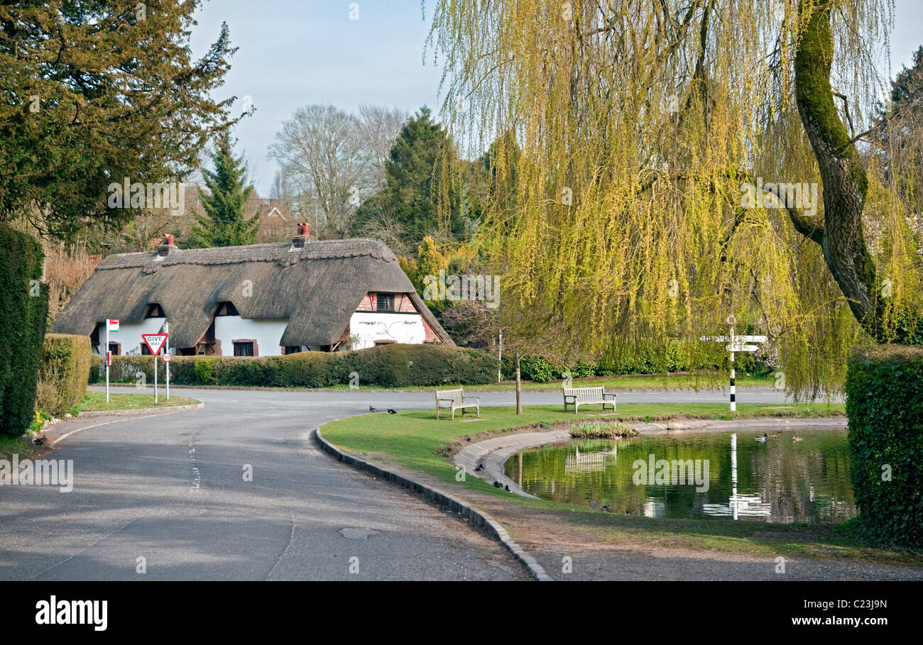 Cottage e Village Duck Pond, Crawley, Hampshire Foto Stock