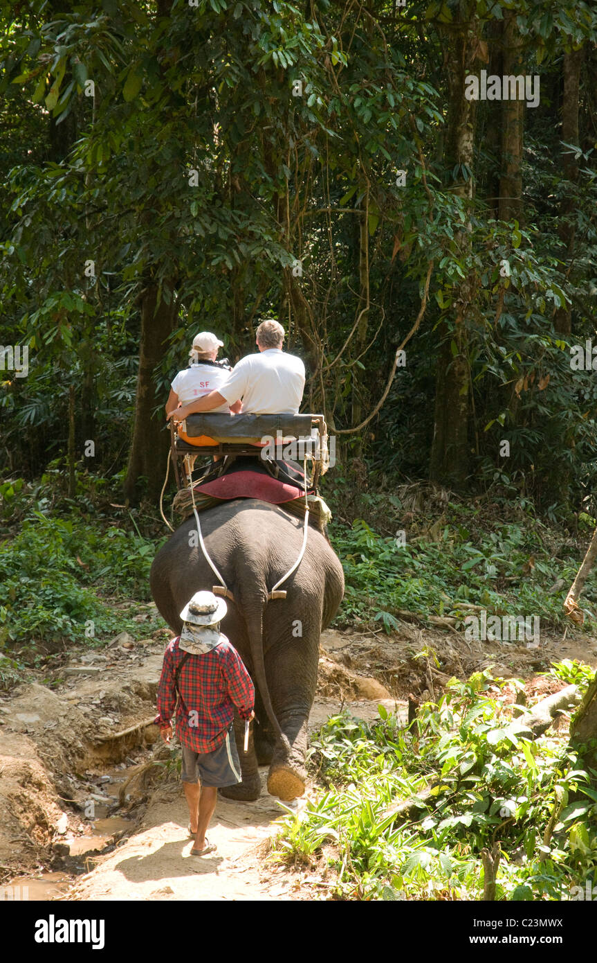 I turisti a cavallo di un elefante, Khao Sok National Park, nel sud della Thailandia Foto Stock