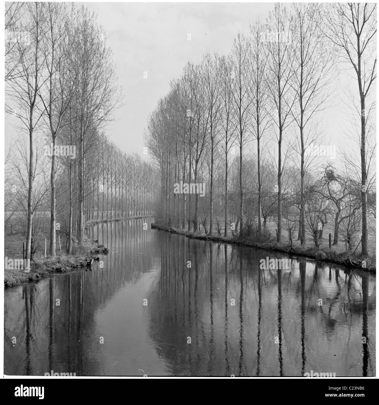 1950, Francia. Tall Trees righe un fiume che serpeggia è un modo lungo nella campagna francese. Una fotografia da J Allan contanti. Foto Stock