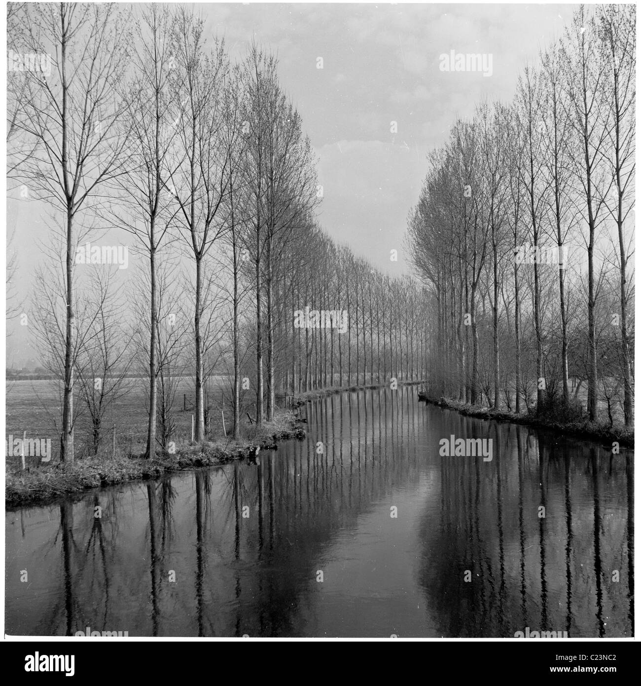 1950, Francia. Tall Trees righe un fiume che serpeggia è un modo lungo nella campagna francese. Una fotografia da J Allan contanti. Foto Stock
