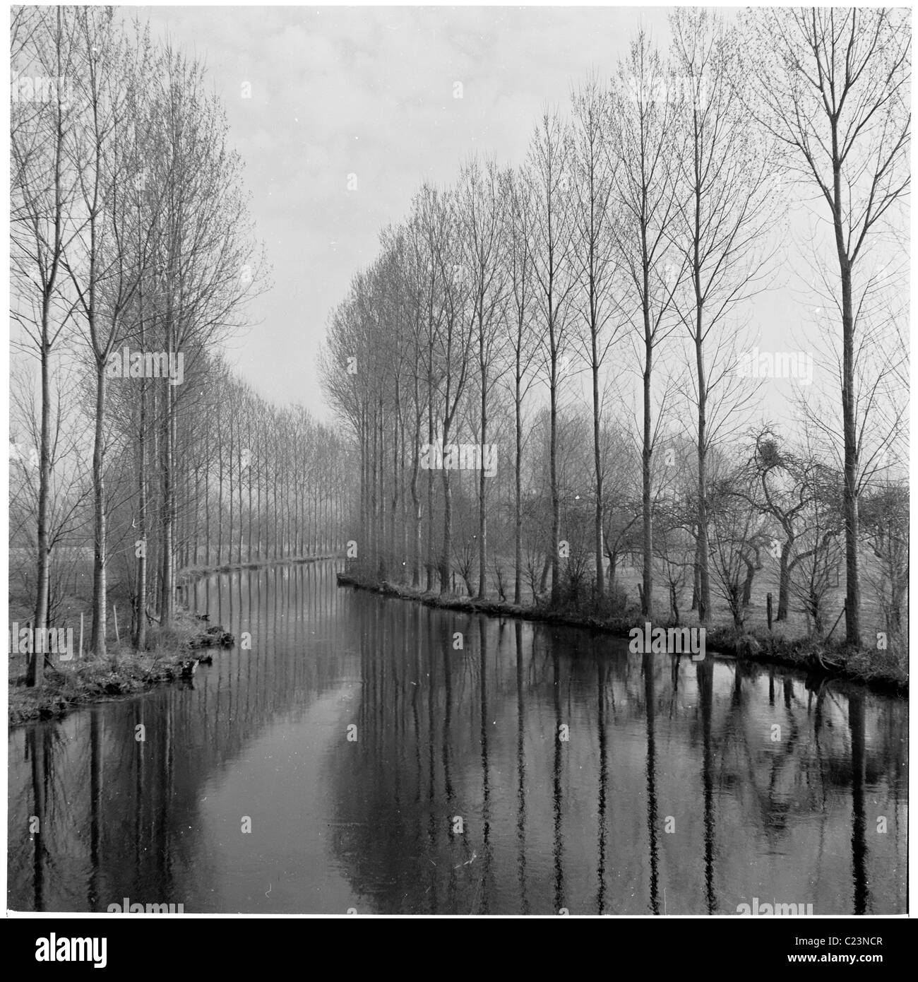 1950, Francia. Alti alberi fiammeggiano un fiume mentre si snoda o si snoda è un modo lungo nella campagna francese. Una fotografia di J Allan Cash. Foto Stock