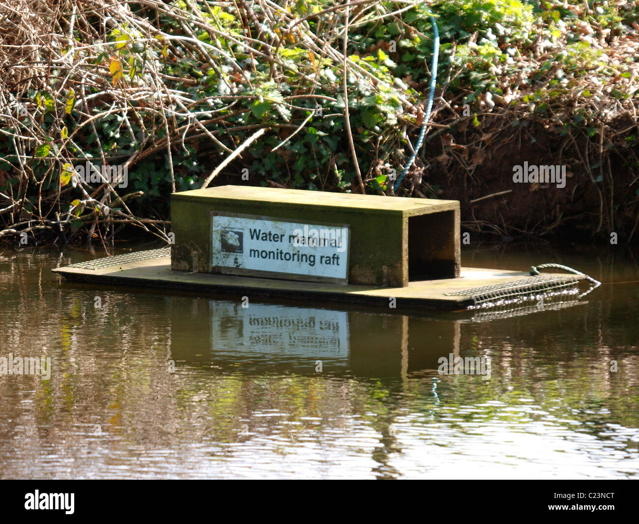 Acqua di monitoraggio di mammifero zattera, il Grand Canal Occidentali, Tiverton Devon, Regno Unito Foto Stock