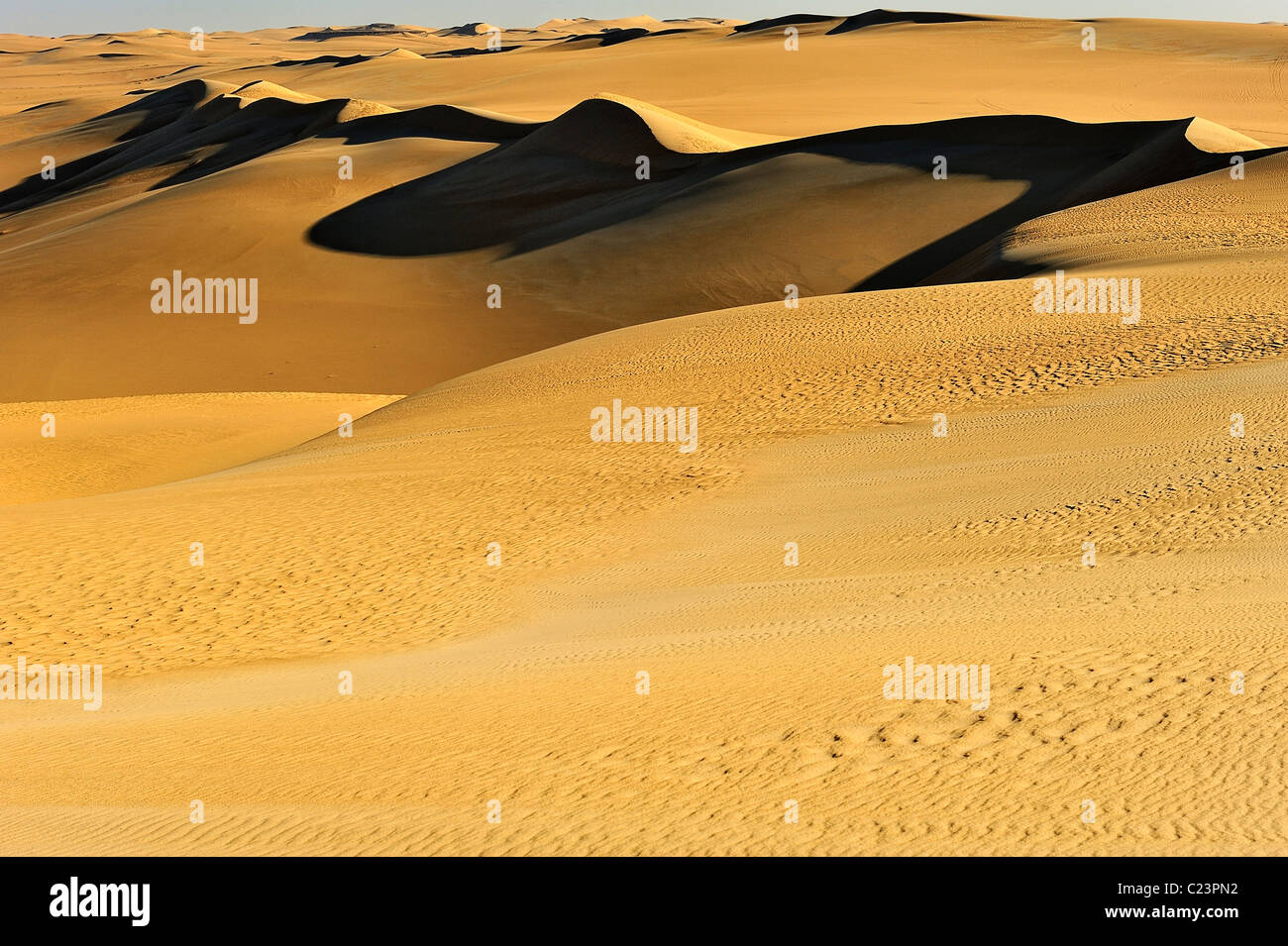 Dune del grande mare di sabbia, Deserto Occidentale (Lybian deserto), Egitto Foto Stock