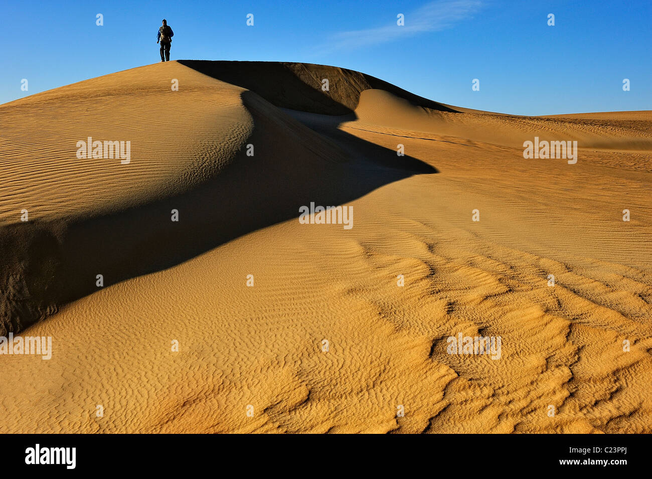 Dune del grande mare di sabbia, Deserto Occidentale (Lybian deserto), Egitto Foto Stock