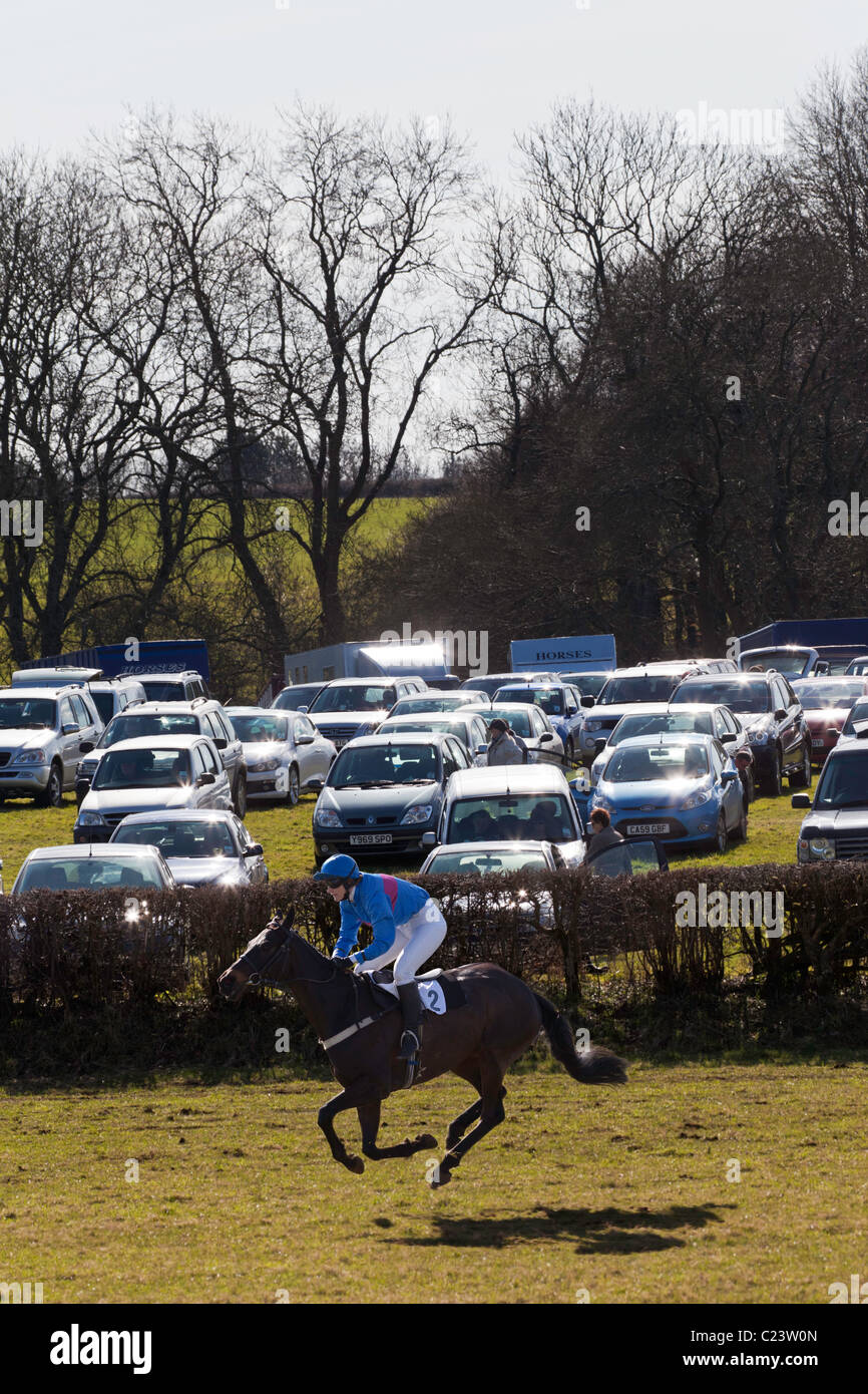 Cavallo e fantino AL PUNTO A PUNTO IN HOWICK CHEPSTOW MONMOUTHSHIRE Wales UK Foto Stock