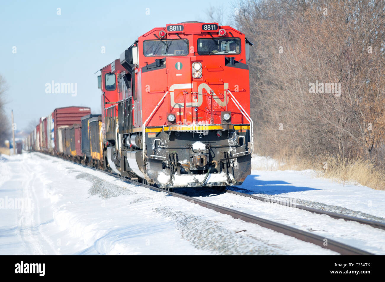L'unità 8811 capi fino a due Canadian National locomotive ferroviarie in una fredda giornata invernale. Bartlett, Illinois, Stati Uniti d'America. Foto Stock
