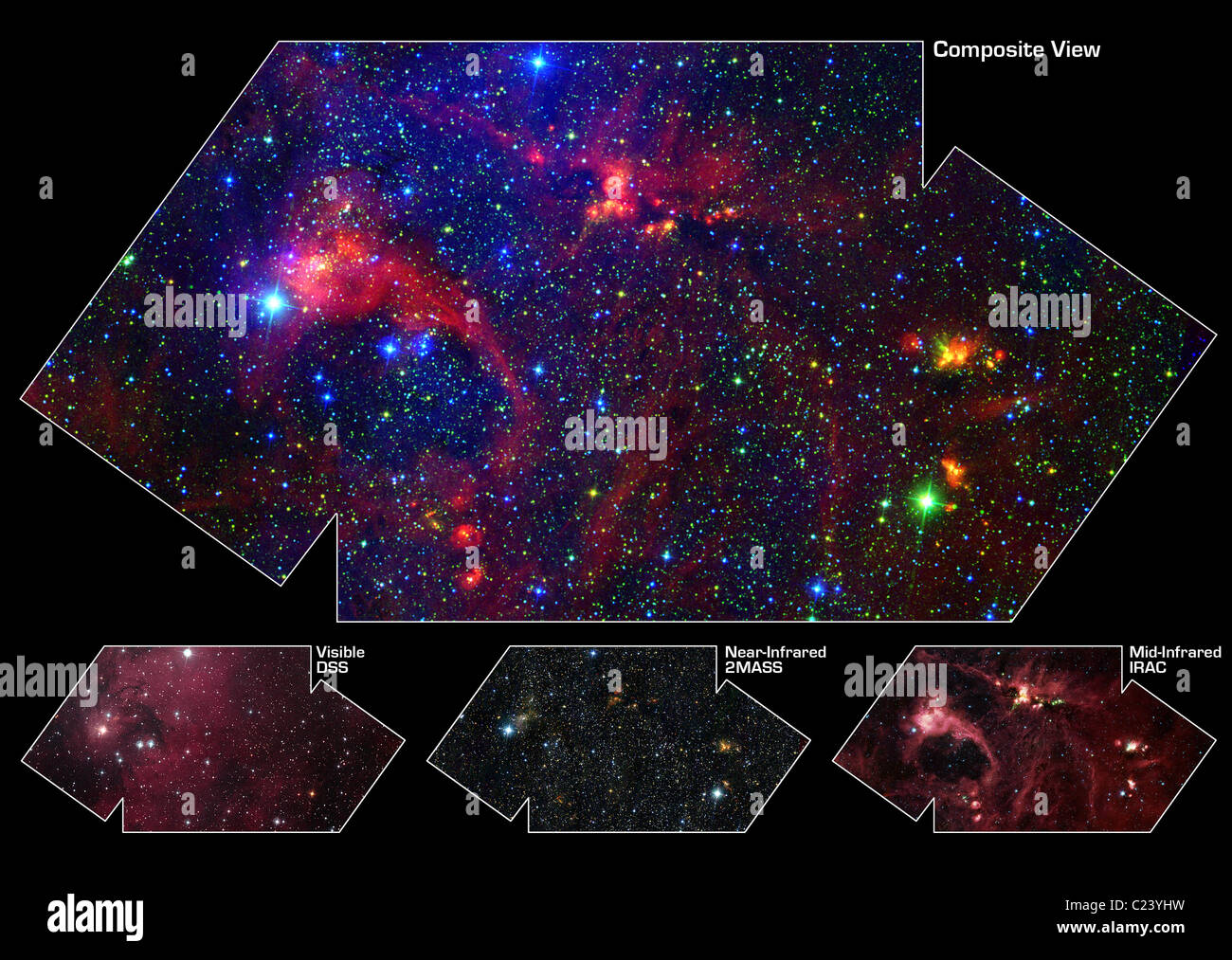Nascosto dietro un velo di polvere nella costellazione del Cigno è un vivaio stellare denominato DR21 Foto Stock